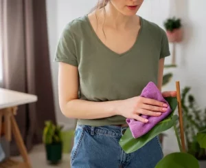 sustainable alternatives to cloth napkins